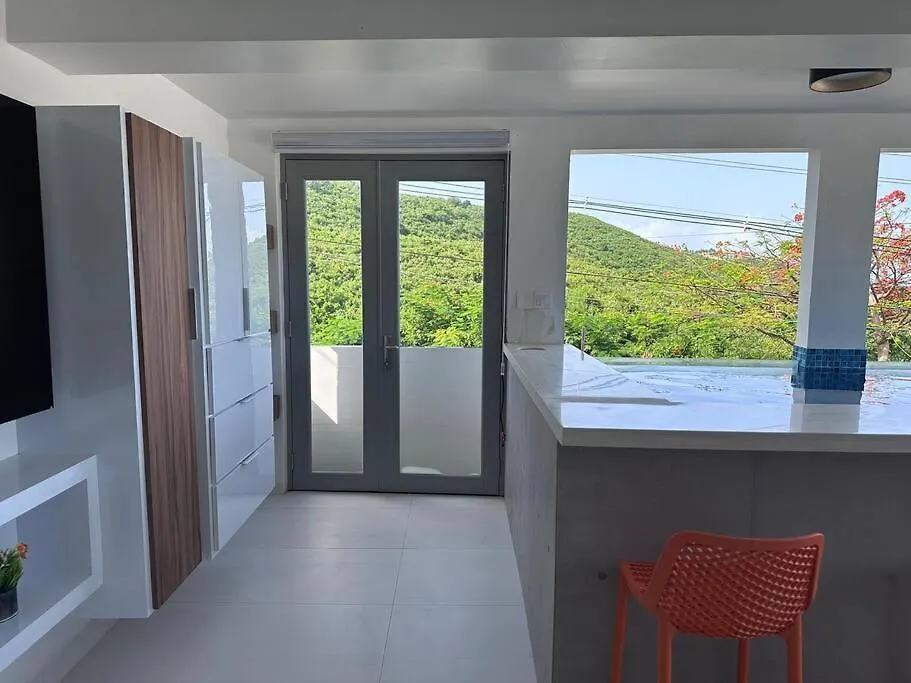 Modern Poolside Getaway Apartment Fajardo